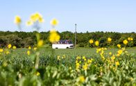 Lecker aufs Land – Lecker aufs Land (2021)