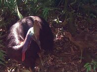 Welt der Tiere – Welt der Tiere (2006)