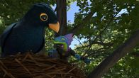 Power Players – Ein Vogel hat es auf Galileo abgesehen.