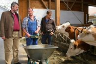 Die Rosenheim-Cops – Die Kommissare Stadler (Dieter Fischer, l.) und Bergmann (Florian Fitz, r.) verdächtigen Landwirt Gruber (Andreas Schwaiger, M.), im Streit den Toten erschlagen zu haben.