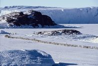 Die Reise der Pinguine – Tollpatschig watscheln die „Frackträger“ über das Eis, um ihre 200 Kilometer entfernte Brutkolonie zu erreichen.