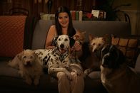 How I Met Your Mother – Robin (Cobie Smulders) kann ihre Gefühle für Ted nicht leugnen, dennoch muss sie schmerzhaft zur Kenntnis nehmen, dass er noch in einer Beziehung steckt ...
