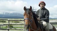 Expeditionen: Magische Anden – Ein Gaucho in der patagonischen Steppe.