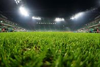 Fußball: Weltmeisterschaft – Do, 01.12., 22:20 Uhr