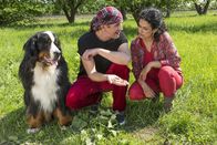 Löwenzahn – Hund Keks hat goldene Ringe am Weg entdeckt. Ist das etwa eine FĂ¤hrte zum Schatz des Papageien?, fragen sich Fritz Fuchs (Guido Hammesfahr) und Yasemin (Sanam Afrashteh).Â