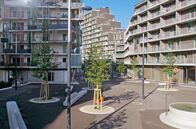 Visionen bauen – Die frisch gepflanzten Bäume spenden heute noch wenig Schatten, doch in den kommenden Jahren werden in der Seestadt nicht nur die Baumkronen größer, sondern die gesamte Stadt wächst unermüdlich.