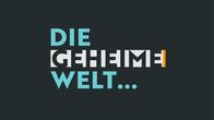 Die geheime Welt ... – Die geheime Welt ... - Logo