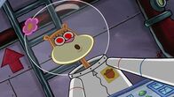 SpongeBob Schwammkopf – Sandy