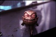 Critters 4 – Critter