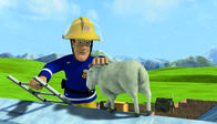 Feuerwehrmann Sam – Feuerwehrmann Sam kann Wollie beruhigen.