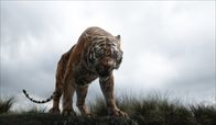 The Jungle Book – Nachdem der Tiger Shir Khan nur schlechte Erfahrungen mit Menschen gemacht hat, tut er alles, um Mogli aus dem Dschungel zu vertreiben ...