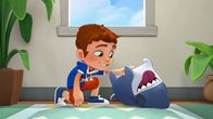 Sharkdog – v.li.: Max, Sharkdog