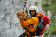 Die Bergretter – Markus (Sebastian Ströbel) hat es geschafft, den in einer Steilwand festsitzenden Hund zu bergen.