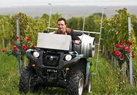 Der Winzerkönig – Arbeit im modernen Weinberg: Paul Stickler (Achim Schelhas) fährt motorisiert durch die Rieden.