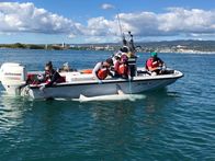 When Sharks Attack - Hai-Alarm – Der Meeresbiologe Kevin Weng (r.) markiert mit seinem Forschungsteam einen 12 Fuß langen, weiblichen Tigerhai vor dem Hafen von Ke'ehi auf Oahu.