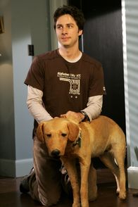 Scrubs - Die Anfänger – Zach Braff (John 'J.D.' Dorian).