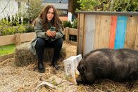 Frühling – Frühling – Kleiner Engel, kleiner Teufel Sie kümmert sich um alle: Simone Thomalla als Katja Copyright: SRF/ZDF/Marc Reimann