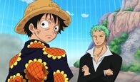 One Piece – Ruffy (l.); Zorro (r.)