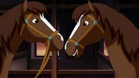 Bibi und Tina – Die Pferde Ella und Elisa sehen sich zum Verwechseln ähnlich. Kein Wunder, sie sind Zwillinge.