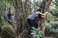 Hawaii Five-0 – Hawaii Five-0 (2017)