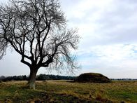 Terra X: Superhelden – Ein H¸gelgrab von Sutton Hoo. Im 7. Jahrhundert wurde dort ein angels‰chsischer Herrscher mitsamt eines Schiffes begraben. in Verbindung mit der Sendung bei Nennung ZDF/Nina KoshoferEin H?gelgrab von Sutton Hoo. Im 7. Jahrhundert wurde dort ein angels?chsischer Herrscher mitsamt eines Schiffes begraben. in Verbindung mit der Sendung bei Nennung ZDF/Nina Koshofer