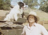 Unsere kleine Farm – Ein streunender Hund hat sich Charles (Michael Landon) angeschlossen. Wegen seiner sonderbaren Musterung nennen ihn die Ingalls "Bandit".