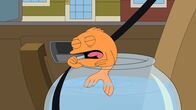 American Dad! – Klaus