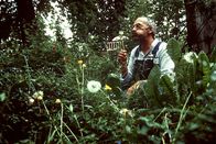 Löwenzahn – Peter (Peter Lustig) geht der Sache auf den Grund.