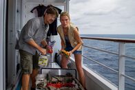 Das Traumschiff – Romy (Nele Kiper) und Lars (Kristian Kiehling) haben für ihre Auftraggeber illegal seltene und wertvolle Korallen gesammelt und wollen diese an Bord des Traumschiffs nach Deutschland schmuggeln.