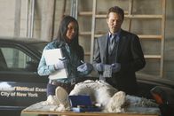 Castle – Die Studentin Jane Herzfeld wird erschossen und einbetoniert aufgefunden. Lanie Paris (Tamala Jones, l.) berichtet Kevin Ryan (Seamus Dever, r.), was sie über den möglichen Tathergang herausfinden konnte ...