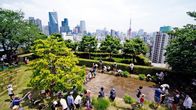 Wildes Tokio – Ein Reisfeld auf dem Dach? In der 38 Millionen Metropole Tokio wird jeder verfügbare Platz genutzt.