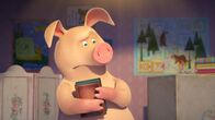 Mascha und der Bär – Das Schwein ist unzufrieden