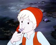 Nils Holgersson – Nils Holgersson hält Wache, um die Wildgänse vor dem Fuchs Smirre zu warnen.