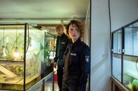 Großstadtrevier – Gruselig: Lukas Petersen (Patrick Abozen, l.) und seine Kollegin Nina Sieveking (Wanda Perdelwitz, r.) schauen sich in der Wohnung eines Rentners und Reptilienliebhabers um.