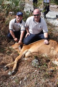 Tierpolizei Miami – Do, 13.11., 07:00 Uhr
