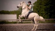 HipHorses – Am Anfang war Charly misstrauisch und verstĂ¶rt. Gemeinsam mit ihrer Mutter hat Mia das Pferd gezĂ¤hmt.Â
