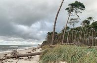 GEO Reportage – Fischland-Darß im Herbst: Die deutsche Ostseeküste ist Sehnsuchtsort für Mensch und Tier.