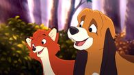 Cap und Capper 2 – Cap und Capper (v.li) sind die besten Freunde, obwohl sie unterschiedlicher nicht sein könnten.