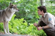 Der Ranger - Paradies Heimat – Jonas Waldek (Philipp Danne), Ranger im Nationalpark Sächsische Schweiz, entdeckt einen Wolf.