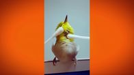 Most Ridiculous – Fr, 27.06., 06:00 Uhr