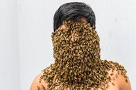 111 – Beekeeper covered by bees