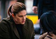 FBI: Special Crime Unit – FBI: Special Crime Unit (2019)