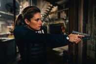 FBI: Special Crime Unit – FBI: Special Crime Unit (2019)