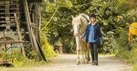 Wendy - Der Film – Wendy - Der Film (2017)