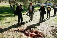Bones - Die Knochenjägerin – Bones - Die Knochenjägerin (2008)