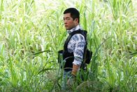 Magnum P.I. – Magnum P.I. (2019)