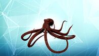 Die Zaubertricks der Tiere – Unter der Meeresoberfläche ist der Oktopus ständig vor Raubtieren auf der Flucht. Wenn ihnen die Gliedmaßen abgerissen werden, können sie nach drei Tagen wieder nachwachsen.