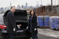 Blue Bloods - Crime Scene New York – Sa, 27.09., 09:45 Uhr