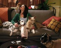 How I Met Your Mother – Zwischen Ted und Robin (Cobie Smulders) knistert es gewaltig, obwohl er eigentlich in einer festen Beziehung ist ...