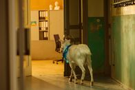 Das Institut - Oase des Scheiterns – Do, 23.10., 23:40 Uhr